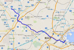 2016_0336rote