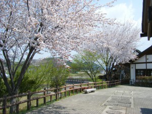 DSCF8138s