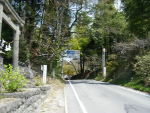 DSCF8140s