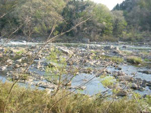 DSCF8154s