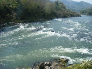 DSCF8175s