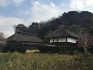 IMG_3168s