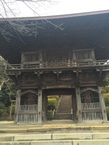 IMG_3193s