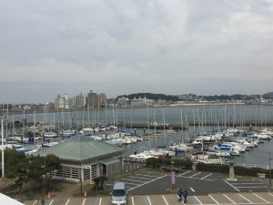 IMG_3206s