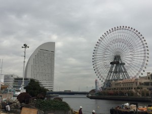 IMG_3224s