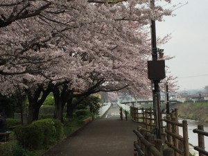 IMG_3265s