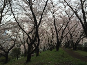 IMG_3270s