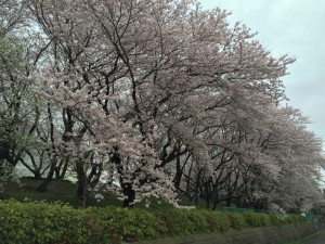 IMG_3272s