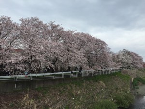 IMG_3280s