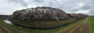 IMG_3288s