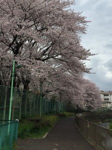 IMG_3291s