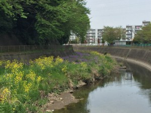 IMG_3461s