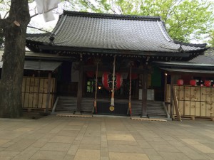 IMG_3468s