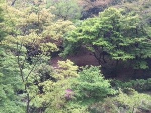 IMG_3469s