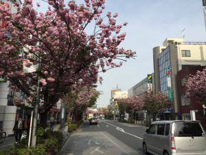 IMG_3475s