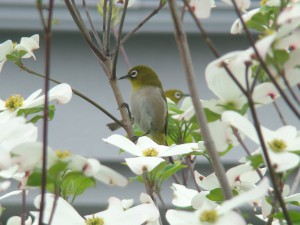 IMG_3507