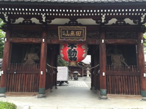 IMG_3531s