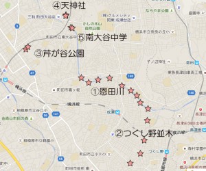 sakuramap1