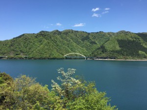 IMG_3551s