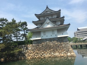 IMG_3670s