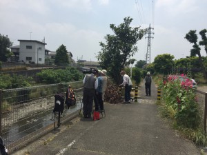 IMG_3717s