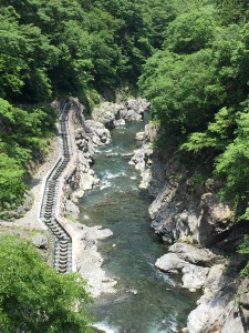 IMG_3748s