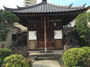 IMG_3771s