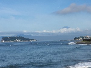 IMG_3920