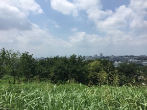 IMG_3933s