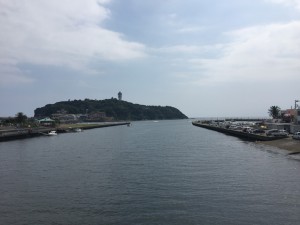 IMG_3948