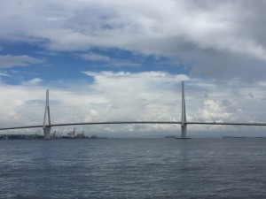 IMG_3973