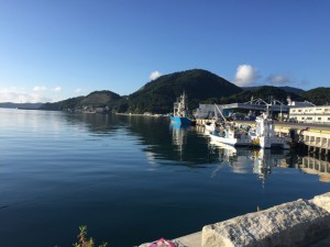 IMG_4012