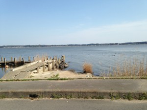 img_1156s