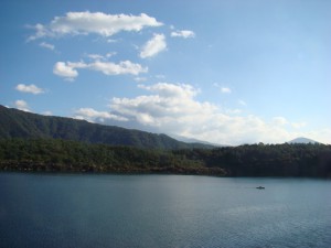 dsc00993s