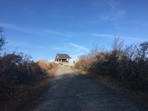 img_4287