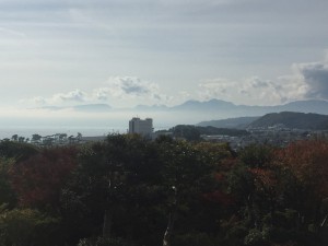 img_4336