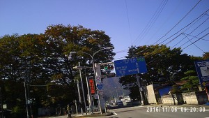 pict0009s