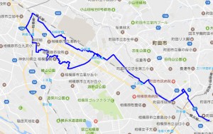 2017_0122rote_0