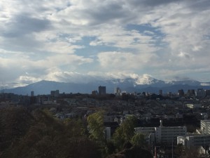 img_4531