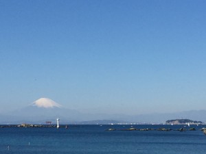 IMG_4569s