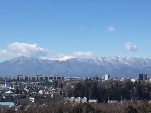 IMG_4590s