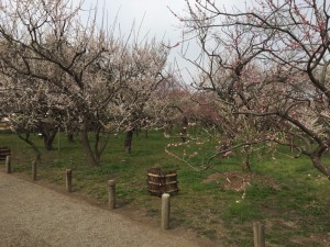 IMG_4702s