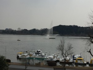 IMG_4712s