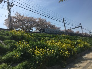 IMG_4803