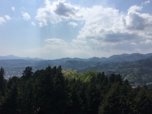 IMG_4863