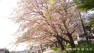 PICT0027
