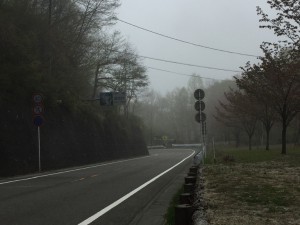 IMG_4915