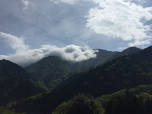IMG_4922