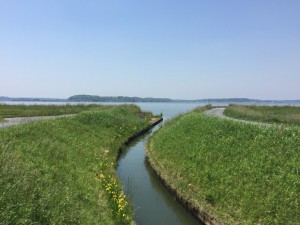 IMG_4948