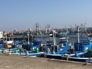IMG_4960